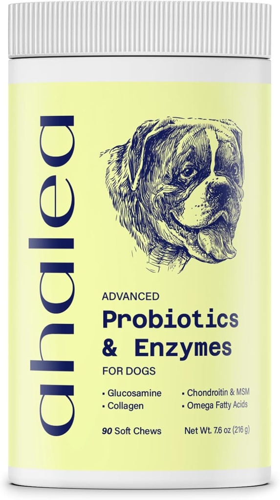 Probiotika til hunde - Hundeprobiotika til fordøjelsessygdomme, Support Gut Health, Diarré, fordøjelsessygdomme og sæsonbetinget allergi, 90 Count 2 Millioner CFU 'er