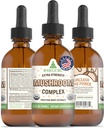 RawGuru Organic Mushroom Complex Tincture - Organic Mushroom Extract with Trace Minerals - Nano- Forarbejdede Kognitiv & Immun Support - 60 Serveringer af Vegan Drops pr 60 ml, Pack of 1
