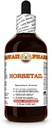 Hestehale ekstrakt, tinktur for ben styrke, fremmer hår & nail vitalitet, forbedrer fælles komfort, Handler som en naturlig Diuretic - 4 fl.oz