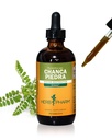 Herb Pharm Chanca Piedra Liquid Extract til Urinary System Support - 4 Ounce