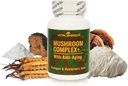 Mushroom Complex med Anti- Aging. Naturlige Mushroom- baserede Anti- Aging Kosttilskud med Chaga, Lions Mane, Cordyceps, Reishi, Collagen, Hyaluronsyre, Vitaminer B1, B2, B6, C, D