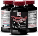 Stamina Support Formel - TRIBULUS TERSURGIS Extract - Power Recharge, Power Support Blend, Fysisk Boost, Plant- drevet energi, Body Support Formel, Styrke og magt, Aktiv Styrke 1Bot 90Tab