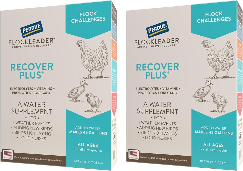 Gendanne Plus Moderate Stress Probiotisk vand supplement til kyllinger med Electrolytes & Oregano, 8 oz (pakke med 2)