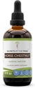 Hemmeligheder ved Tribe Horse Chestnut Alkohol Liquid Extract, Horse Chestnut (Aesculus hippocastanum) Tørret nut tinktur supplement (4 FL OZ)