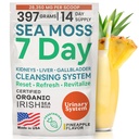 Atlantic Naturals Sea Moss 7 Day Detox lever, Gallablære & Nyre Cleanse - Støtte med Mælkebøtte, Mælkebøtte, Burdock Root, Rød kløver, Chanca Piedra - Ananas Flavor Drink Mix (14 oz)