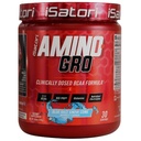 iSatori Amino-GRO BCAA pulver, forgrenet kæde Aminosyrer med glutamin, Electrolyte Powder & Bio- GRO Bio- Aktive Peptider til muskelvækst & Post Workout Inddrivelse, Blue Razz Snow Cone (30 Servere)