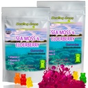 Irish Sea Moss Gummies - Raw Organic Wildcrafted Sun- Tørret Seamoss Powder Gel - med Bladerwrack Burdock Root - Alkaline Keto Vegan Non- GMO - Skin Detox (Elderberry)