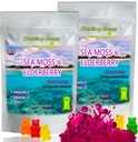 Irish Sea Moss Gummies - Raw Organic Wildcrafted Sun- Tørret Seamoss Powder Gel - med Bladerwrack Burdock Root - Alkaline Keto Vegan Non- GMO - Skin Detox (Elderberry)