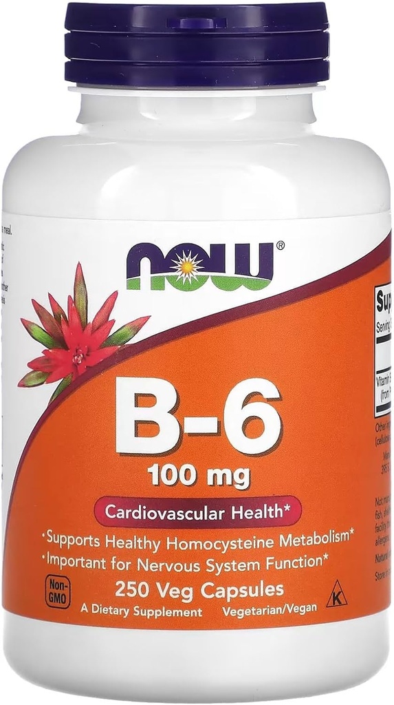 Nu fødevarer vitamin B- 6 250 kapsler / 100 mg