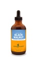 Herb Pharm Black Walnut Liquid Extract til rensning og afgiftning - 4 Ounce