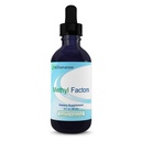 Nutra Biogenese methylfaktorer - Vitamin B12 dråber, methylfolat dråber, Sublingual Væske til kvinder & mænd, B Kompleks med folinsyre til børn og voksne, Energitilskud, Sukker fri - 2 Fl Oz