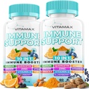 10- in-1 Immunstøtte med Elderberry, D3, Selen, Quercetin, Zink, C-vitamin, Ginger, Gurkemeje, B6, Echinacea - Immunforsvar - Made in USA (60 Count (Pack of 2))