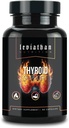 Leviathan Thyroid Support; Energi & Thyroid Sundhed & Jod Supplement, Selen, Zink, Mangan, Kobber, L Tyrosine, Guggul Støtte til kvinder og mænd