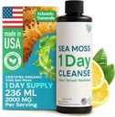 Atlantic Naturals - 1 Day Colon Cleanse Full Body Detox Drink - Sea Moss Supplement for Women & Men, Gut Health, Kidney & Liver Immune Energy Enhancer Gut Cleanse - Lemon Flavor Juice, 8 fl oz