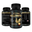 Gallobiotic Natural Multivitamin for Rooster, Hens - 100 tabletter
