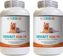 Hundeblærer Støtte - Hundeurinære sundhed Formel - Hjælper med inkontinens og Brege spørgsmål - Immunboost - Hundekranbær supplement tygge - 2 flasker (180 Treatles)