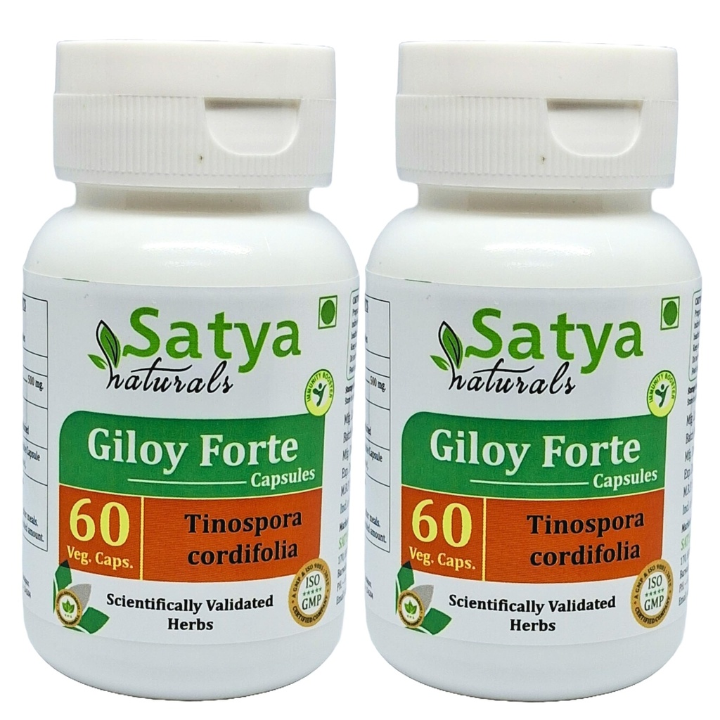 Giloy Forte Capsules 500 mg. 60 Veg. Capsule Name 124; Guduchi (Tinospora Cordifolia) Uddrag Kapsler til mænd og kvinder