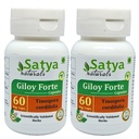 Giloy Forte Capsules 500 mg. 60 Veg. Capsule Name 124; Guduchi (Tinospora Cordifolia) Uddrag Kapsler til mænd og kvinder