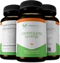 Cryptolepis Synergy, immunforsvar Vitaminer, immunsystem Booster for voksne, lever, lymporistisk, & immunstøtte supplement, understøtter Lyme & Natural Parasite Defense, 120 kapsler, 3 pakke