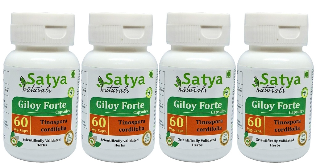 Giloy Forte Capsules 500 mg. 60 Veg. Capsule Name 124; Guduchi (Tinospora Cordifolia) Uddrag Kapsler til mænd og kvinder