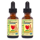 Børn Echinacea for børn - Kids Echinacea Drops, Flydende tinktur, Alkohol Free Supplement for babyer, Toddlers, Børn - Natural Orange, 1 Fl Oz (Pack of 2)