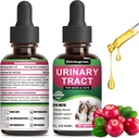 Kat & hund Urinary Tract Infektion Behandling Drops med Cranberry & Natural UTI Medicine - Understøtter Bregen + Nyre - Bedste forebyggende inkontinens & Brege Stones - Supplement Nyrepleje Vitaminer