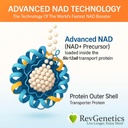 REVGENETICS Advanced NAD + Supplement, 60 kapsler - Kosttilskud til sund aldring og lang levetid