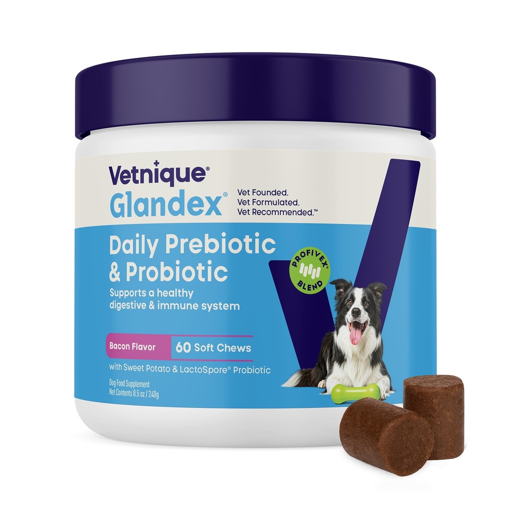 Vetnique Glandex Daglig Probiotika til hunde med Prebiotika til at understøtte Gut Sundhed med Fiber og fordøjelsesenzymer, Probiotiske Chews eller Powders (60ct Chews, Bacon Chews)
