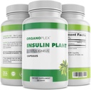 Insulin Plant Capsules (Costus igneus), 100% Natural Supplement, 360 Veggie Caps (2 Month Supply) - Insulin Plant