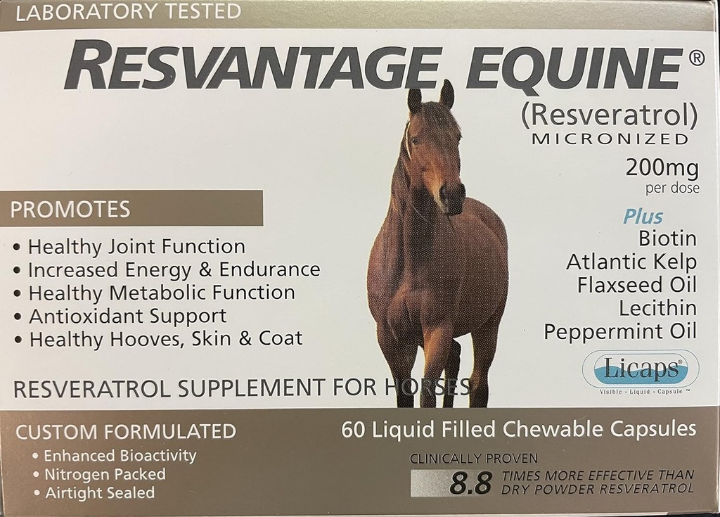 Equine Supplement 60 tyggetabletter Resveratrol Flydende fyldte kapsler til heste