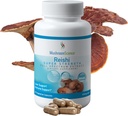 MushroomScience Reishi Mushroom Capsules, Super Strength Full Spectrum Extract, Natural Mushroom Supplement for voksne, Varmt vand Udtrukket Svampe, Sundhedsstøtte, Vegetarisk, 400MG, 90 CT