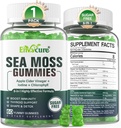 1Pack Sea Moss Gummies Sugar- Free, Extra Strength Irish Moss Gel Supplement med jod, Chlorophyll, Ufiltreret ACV, D3, Burdock Root, Bladderwrack til immunforsvar, fordøjelsesbesvær, hud, hår, Det Mexx, Vegan