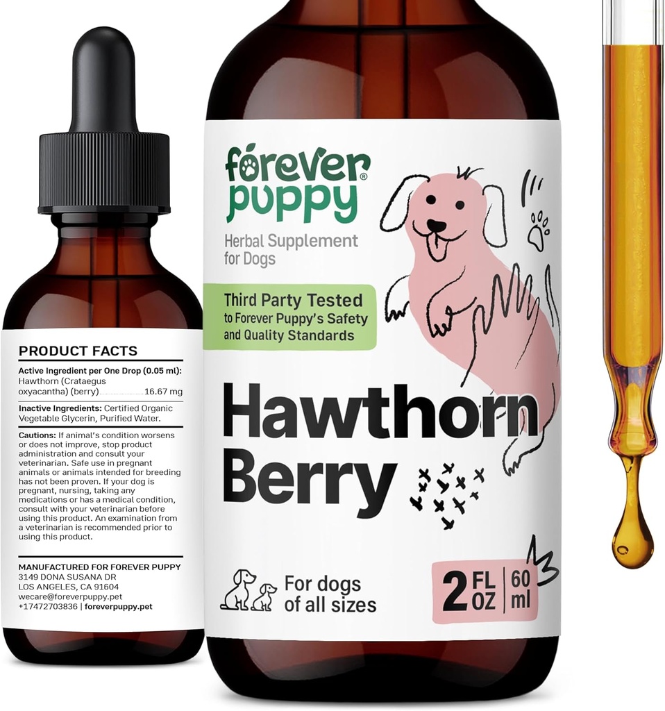 Forever Puppy Hawthorn Berry Drops til hunde - Antioxidant Support Tinktur til hunde w / Hawthorn Berry - Liquid Heart Health supplement til glade kæledyr - Ingen Preservatives & kunstige farver - 2 oz