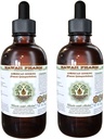 Amerikansk Ginseng Alkohol- Free Liquid Extract, Ginseng (Panax Quinquefolius) Tørret Root Glycerite Hawaii Pharm Natural Herbal Supplement 2x4 oz