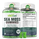 Sea Moss Gummies Sugar- Free, Extra Strength Irish Moss Gel Supplement med jod, Chlorophyll, Ufiltreret ACV, D3, Burdock Root, Bladderwrack til immunforsvar, fordøjelsesbesvær, hud, hår, Det Mexx, Vegan, 2Pack