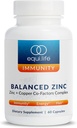 Equilife Balanceret Zink, 15 mg Zink & Kobber Co- Factor Complex tillæg med vitamin C & vitamin B6 til daglig Immunitet og wellness support, Gluten Free, Vegan, Non GMO, 60 kapsler