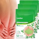 Lumbar Health Patch (36 PCS / 3 Bag)