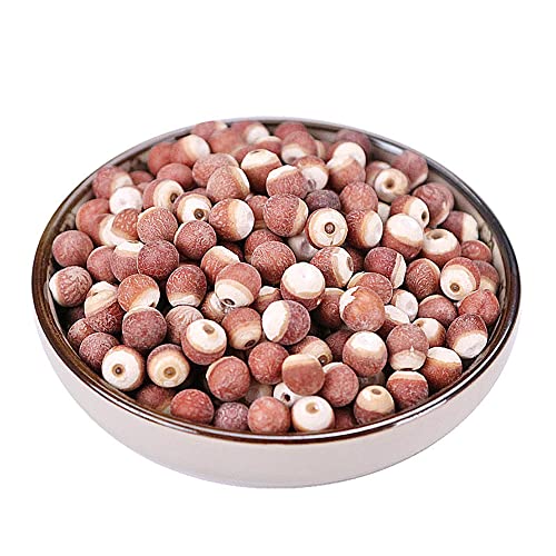 Gorgon Fruit Organic Dried Gorgon Fruit Gorgon Fruit; Semen Euryales; Gorgon Euryale Seed; The Seed of Gordon Euryale;qian Shi (500 Grams /1.10 lbs)