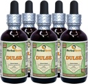 Dulse (Palmaria Palmata) Glycerit, Økologisk Tørrede blade Alkohol- Free Liquid Extract (Brand Name: HerbalTerra, Stolt Made in USA) 5x2 fl.oz (5x60 ml)