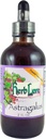 Herb Lore Astragalus Tincture - Flydende Astragalus Root Extract Drops - Immunsystemet support - 4 Fl Oz