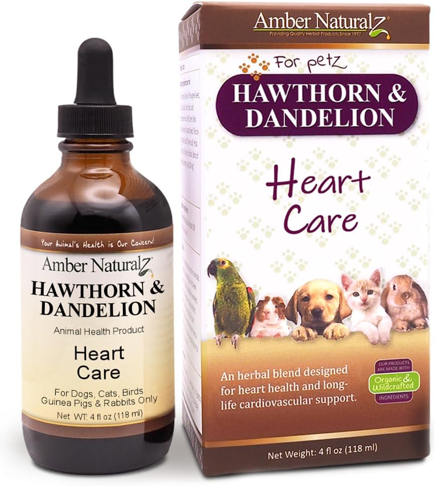 Amber NaturalZ Hawthorn & Dandeelion Herbal supplement til hunde, katte, fugle, kaniner, og Guinea svin
