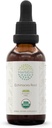 HerbEra Echinacea Root B60 USDA Organic Tincture | Alcohol-Free Extract, High-Potency Herbal Drops, Immune System Health | Certified Organic Echinacea Root (Echinacea Purpurea) Dried Root (2 fl oz)