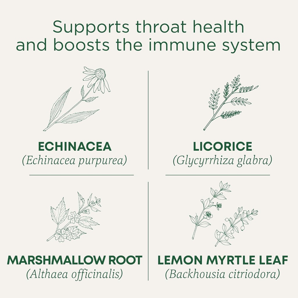 Traditionelle Medicinals Lozenges, Organic Thromat Coat Lemon Ginger Echinacea, Sore Thromat Support, 16 Greve (Pack of 2)