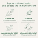 Traditionelle Medicinals Lozenges, Organic Thromat Coat Lemon Ginger Echinacea, Sore Thromat Support, 16 Greve (Pack of 2)