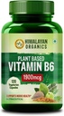 Plante- baserede Vitamin B6 Budd124; Understøtter Immunitet, Hjerne Sundhed (120 Kapsler)