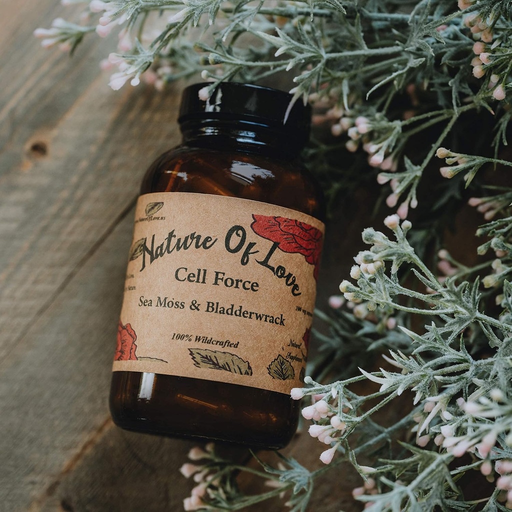 Organic Irish Sea Moss Kapsler med Bladderwrack - 100% Natural, Vegan, Organic, Non- GMO - Dr. Sebi Inspireret