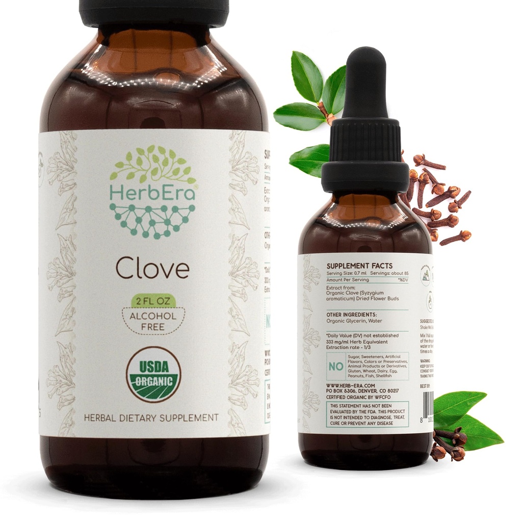 HerbEra Clove B60 USDA Organic Tincture ttesmå 124; Alkohol- fri ekstrakt, High- Potency Herbal Drops, immunsystemet sundhed has 124; Certified Organic Clove (Syzygium Aromaticum) Tørrede blomster Bud (2 fl oz)