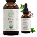 HerbEra Clove B60 USDA Organic Tincture ttesmå 124; Alkohol- fri ekstrakt, High- Potency Herbal Drops, immunsystemet sundhed has 124; Certified Organic Clove (Syzygium Aromaticum) Tørrede blomster Bud (2 fl oz)