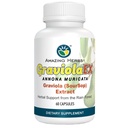 Amazing Herbs GraviraEX Anona Muricata - 100% Pure Graviola (Soursop) Extract, Natural Health from The Rain Forest, Herbal Kosttilskud - 60 Greve (Pack of 1)