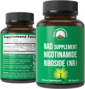 Nicotinamid Riboside NR Supplement. NMN Alternativ NAD Supplement + Niacinamid For NAD + niveauer som vi alder. Tredjeparts testet, Non- GMO, Gluten Free, Vegan NR Vitamin Kosttilskud til kvinder og mænd